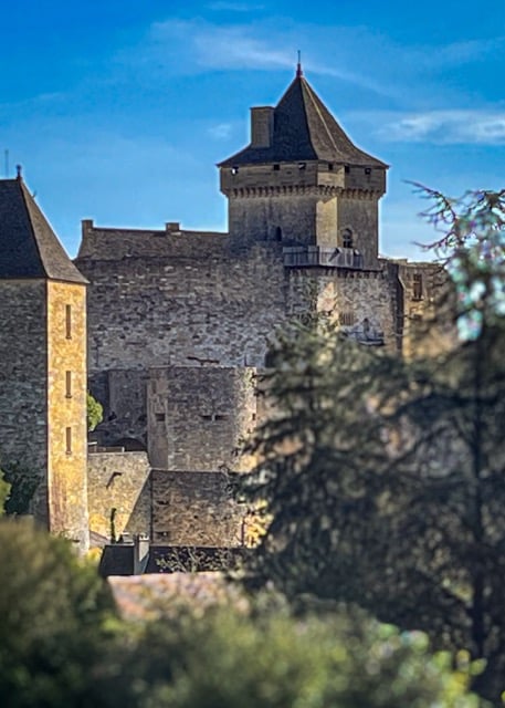 Chateau-castelnaut-dordogne