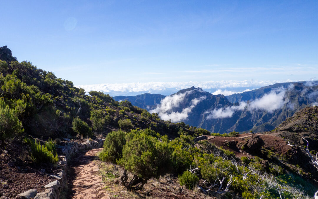 Découvrez la micro-aventure en 3 étapes clés