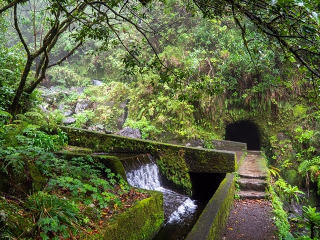 llevada-madere