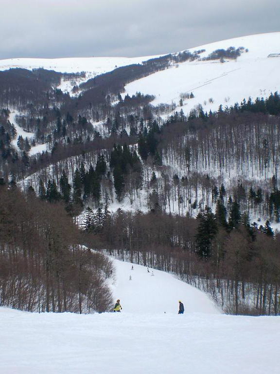piste-ski-neige-sapin
