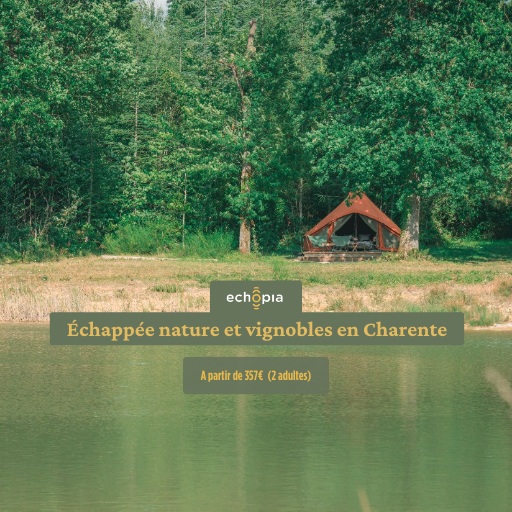 weekend-toiles-du-cassis-page-de-vente echappee-nature-sejours-cles-en-main-cognac-echopia