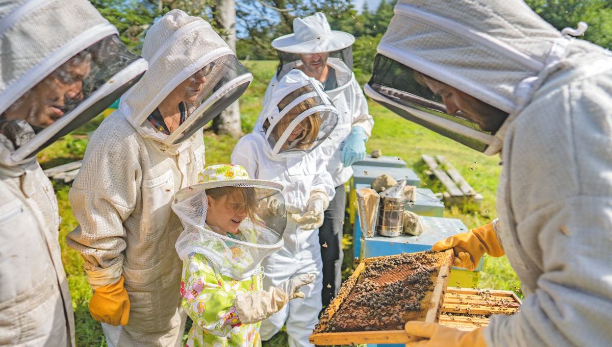 1200x680_sc_la-fontaine-airmeth-photo-thibault-poriel-bapteme-apiculture fontaine-airmeth