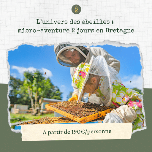 Micro-av-abeilles-page-vente univers-des-abeilles-micro-aventure-bretagne