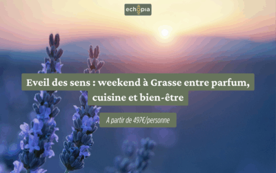 Eveil des sens : weekend à Grasse entre parfum, cuisine et bien-être