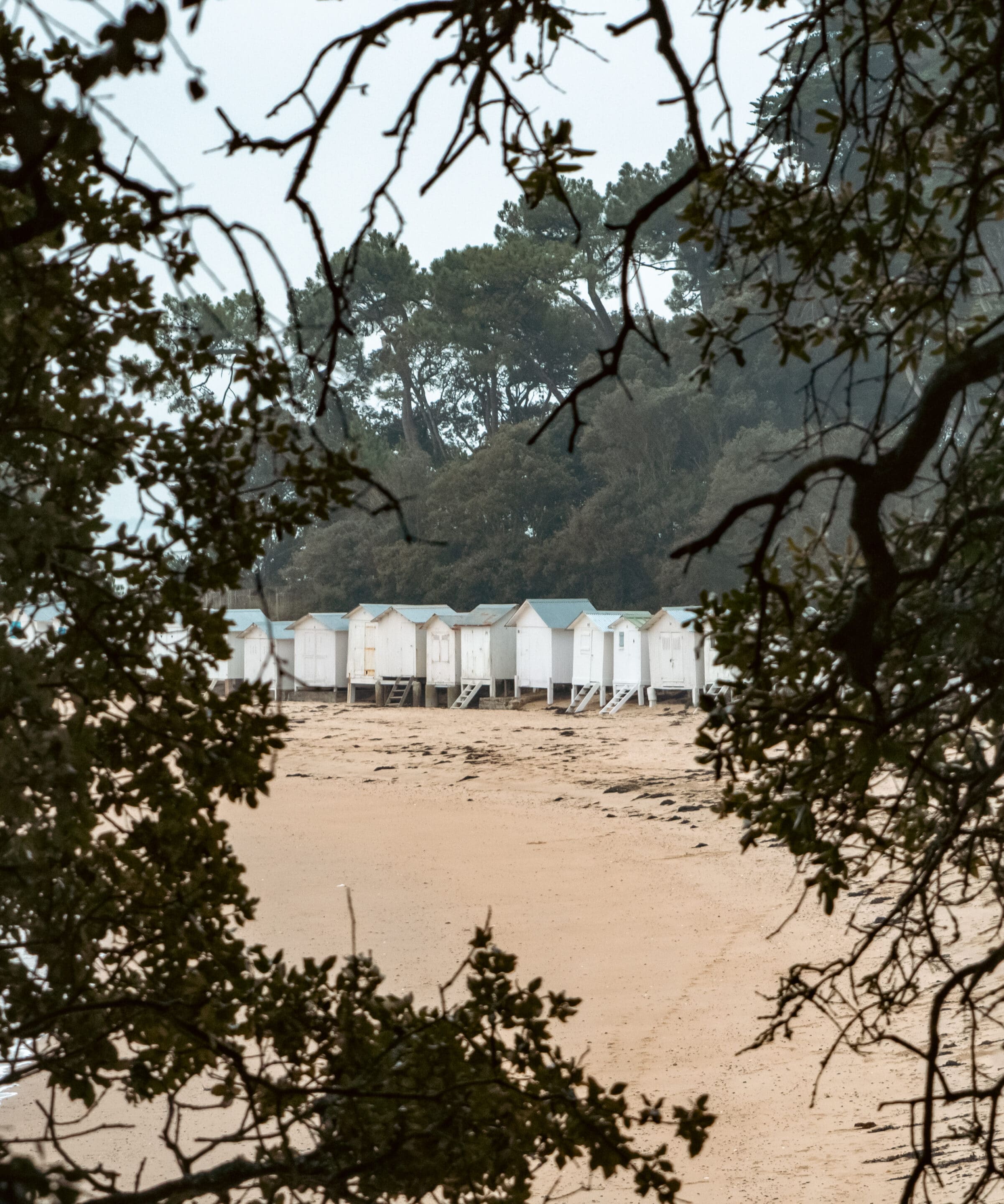 OLYMPUS DIGITAL CAMERA cabanes-plage-noirmoutier